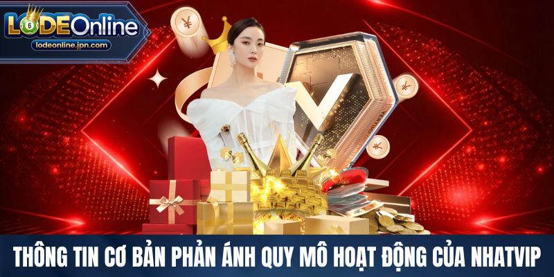 Thông tin cơ bản phản ánh quy mô hoạt động của Nhatvip